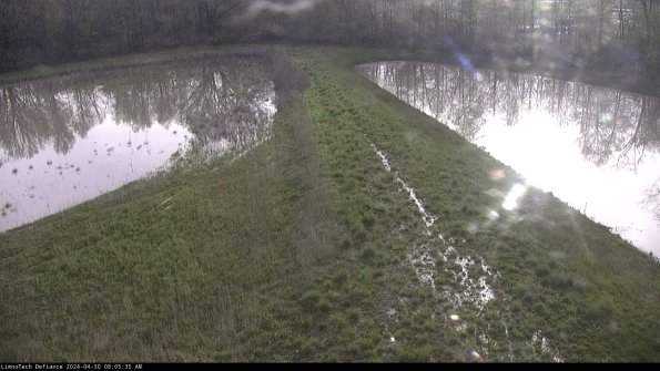 Cell 4 to Basin_24-04-30_08-05-36-34