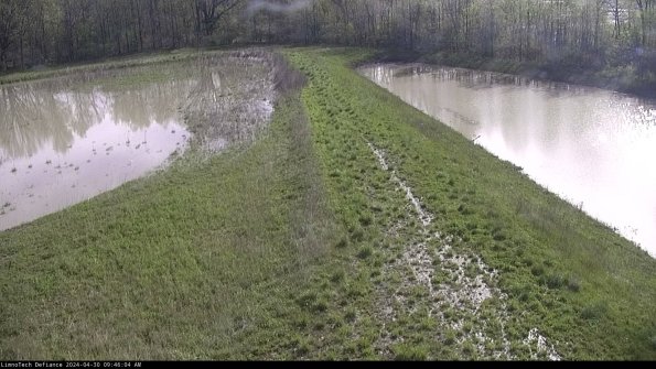 Cell 4 to Basin_24-04-30_09-46-05-36