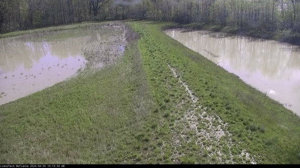 Cell 4 to Basin_24-04-30_10-19-35-35