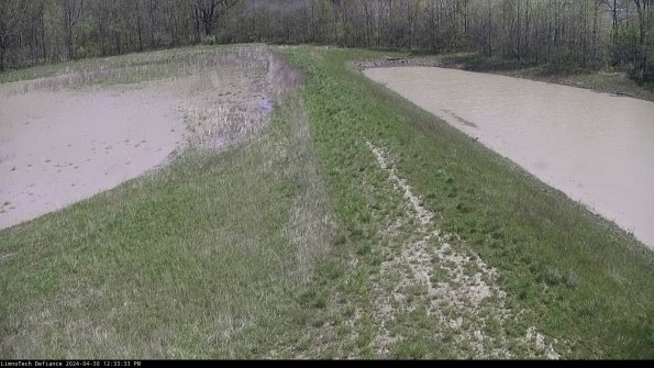 Cell 4 to Basin_24-04-30_12-33-34-30