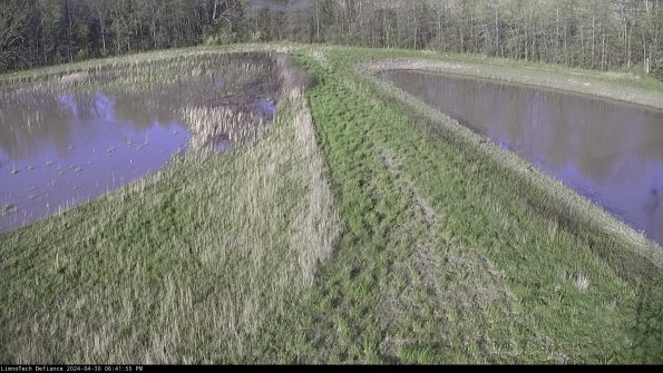 Cell 4 to Basin_24-04-30_18-41-56-32