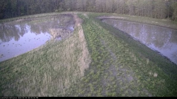 Cell 4 to Basin_24-04-30_20-55-55-35