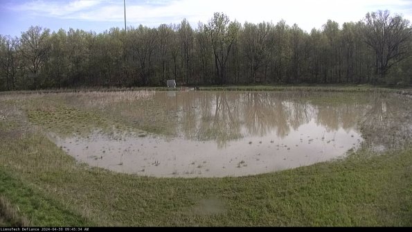 Cell 4_24-04-30_09-45-35-33