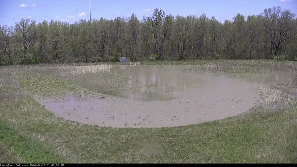 Cell 4_24-04-30_13-40-02-31