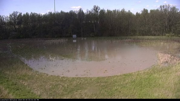 Cell 4_24-04-30_15-53-57-32