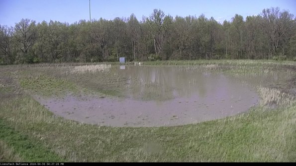 Cell 4_24-04-30_16-27-27-34