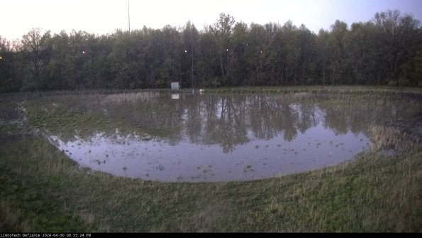 Cell 4_24-04-30_20-55-25-35