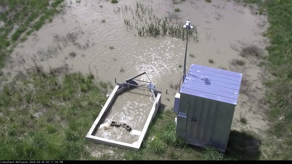 Flume_24-04-30_14-11-55-33