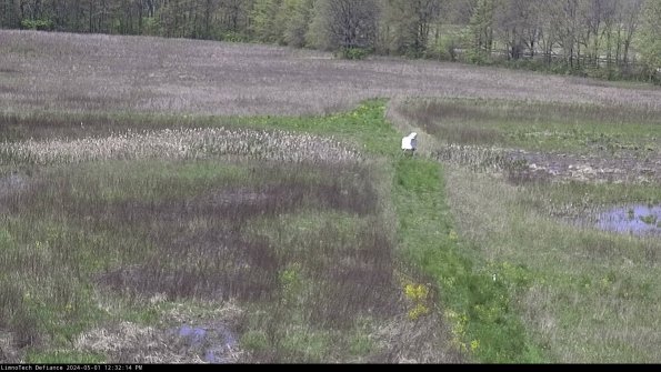 Cell 1 to 2_24-05-01_12-32-15-31