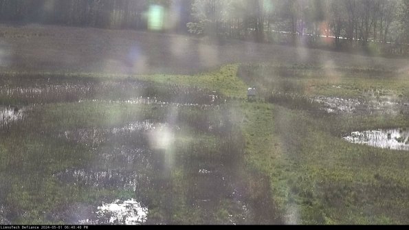 Cell 1 to 2_24-05-01_18-40-41-33