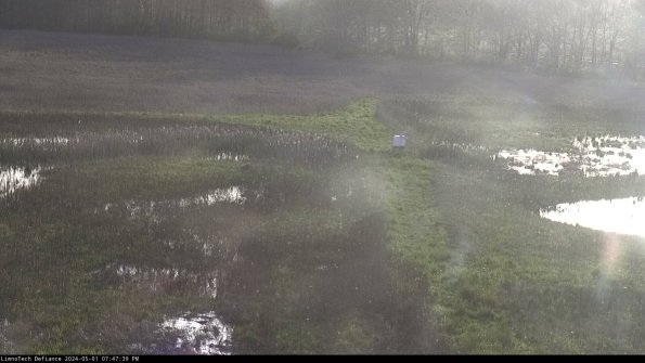 Cell 1 to 2_24-05-01_19-47-40-34