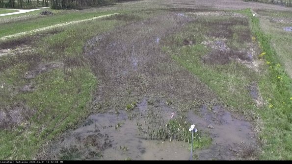 Cell 1_24-05-01_12-32-01-33