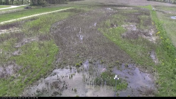 Cell 1_24-05-01_14-12-31-32