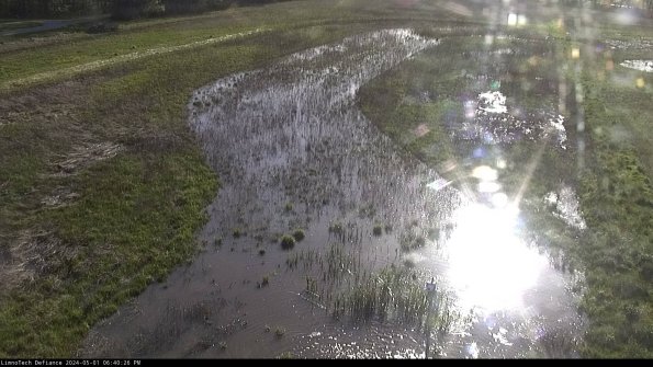 Cell 1_24-05-01_18-40-27-32