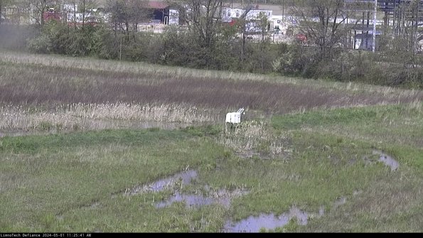 Cell 2 to 3_24-05-01_11-25-41-49