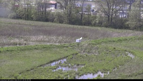 Cell 2 to 3_24-05-01_15-53-38-52