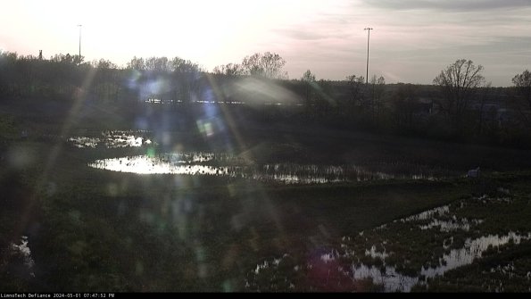 Cell 2_24-05-01_19-47-53-38