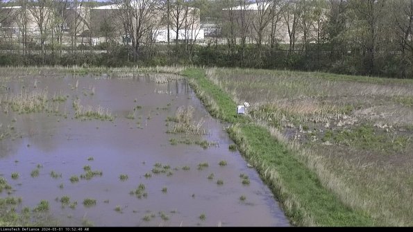 Cell 3 to 4_24-05-01_10-52-41-33