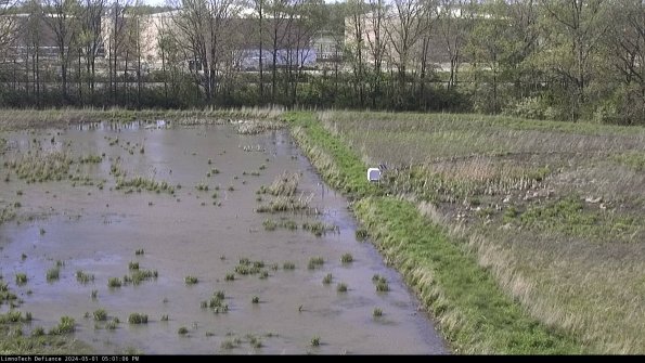 Cell 3 to 4_24-05-01_17-01-07-33