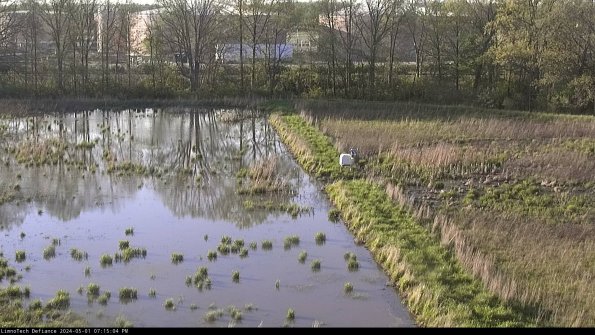 Cell 3 to 4_24-05-01_19-15-05-34