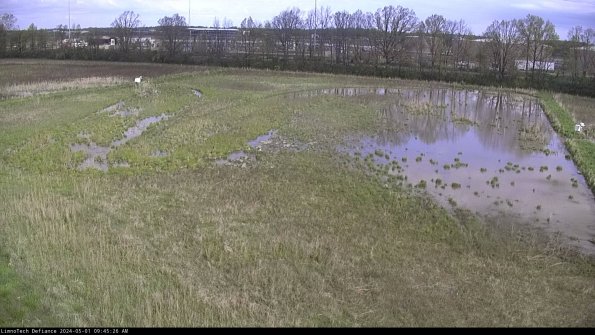 Cell 3_24-05-01_09-45-27-32