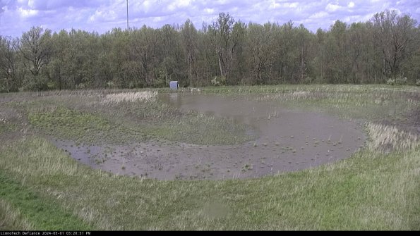 Cell 4_24-05-01_15-20-52-31