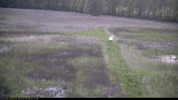 Cell 1 to 2_24-05-03_20-55-14-32