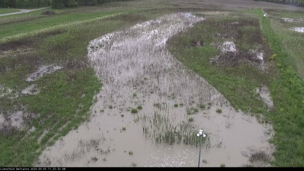 Cell 1_24-05-03_11-25-34-33