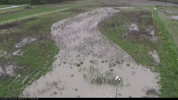 Cell 1_24-05-03_11-59-04-32