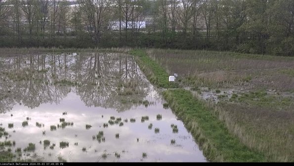 Cell 3 to 4_24-05-03_19-49-10-34