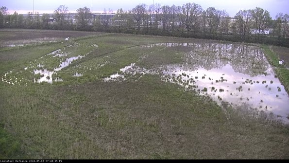 Cell 3_24-05-03_19-48-56-36