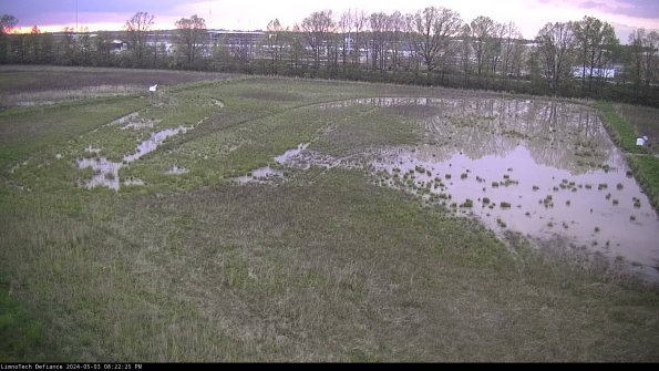 Cell 3_24-05-03_20-22-26-35