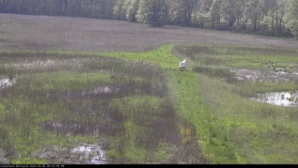 Cell 1 to 2_24-05-04_16-27-39-34