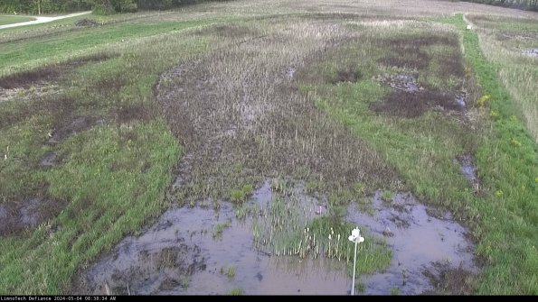 Cell 1_24-05-04_08-38-35-34