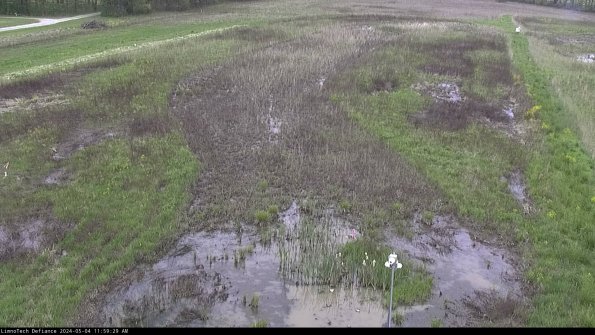 Cell 1_24-05-04_11-59-30-32