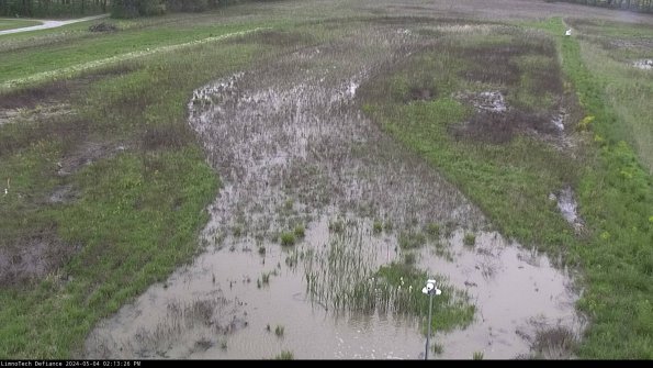 Cell 1_24-05-04_14-13-27-34