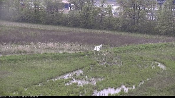 Cell 2 to 3_24-05-04_08-05-46-43