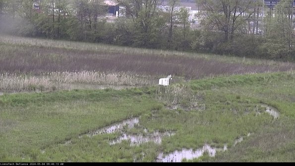 Cell 2 to 3_24-05-04_09-46-14-38