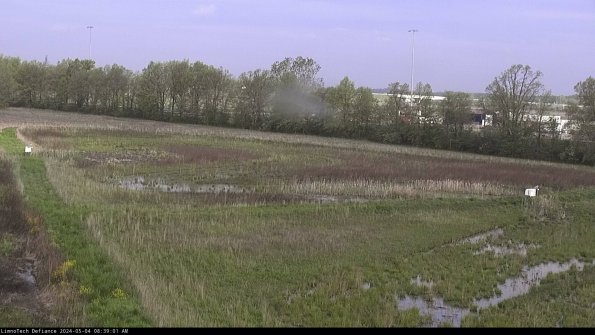 Cell 2_24-05-04_08-39-02-37