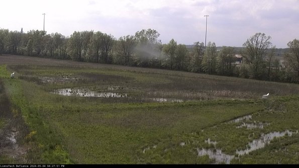 Cell 2_24-05-04_16-27-52-38