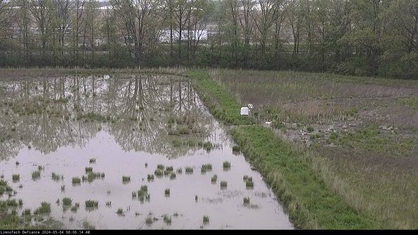 Cell 3 to 4_24-05-04_08-06-15-32