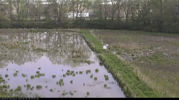 Cell 3 to 4_24-05-04_08-39-43-34