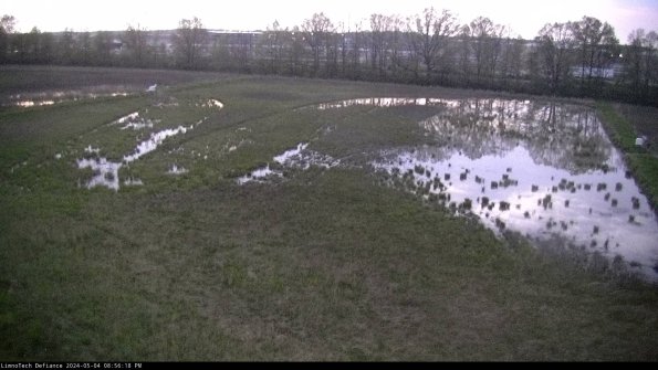 Cell 3_24-05-04_20-56-19-34