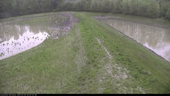 Cell 4 to Basin_24-05-04_09-47-26-32