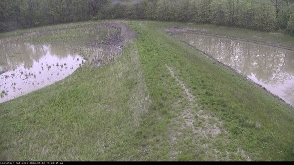 Cell 4 to Basin_24-05-04_10-20-56-34