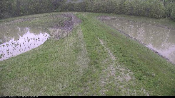 Cell 4 to Basin_24-05-04_14-15-20-35