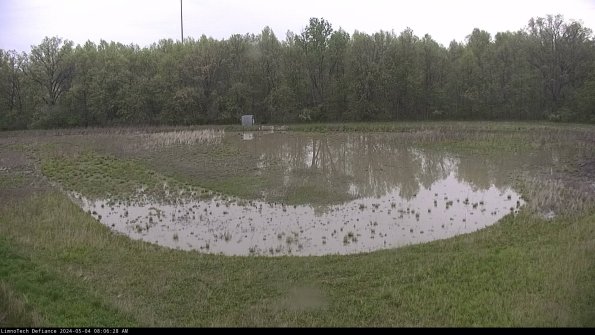 Cell 4_24-05-04_08-06-29-34