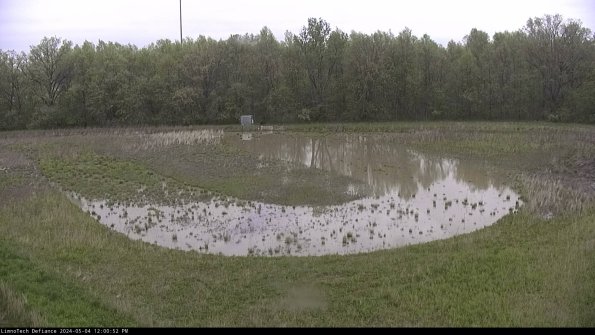 Cell 4_24-05-04_12-00-53-30