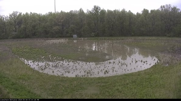 Cell 4_24-05-04_13-41-21-33