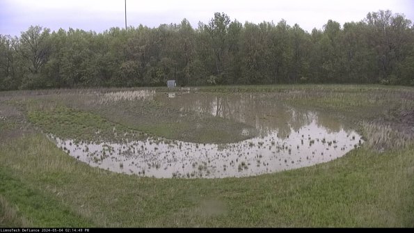 Cell 4_24-05-04_14-14-50-32